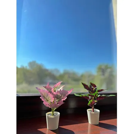 Gamma 10 Min To Old Town